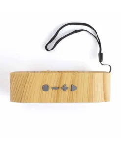 Altoparlante Bluetooth compatibile