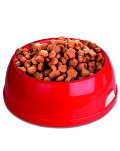 Ciotola tonda in plastica per animali PetBowl