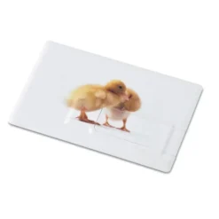 Creditcard. usb flash 16gb