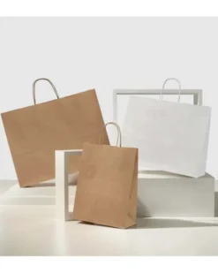 Shopper Shopper 24 Kraft Bianco 24x11x31 cm 100g Maniglia Ritorta